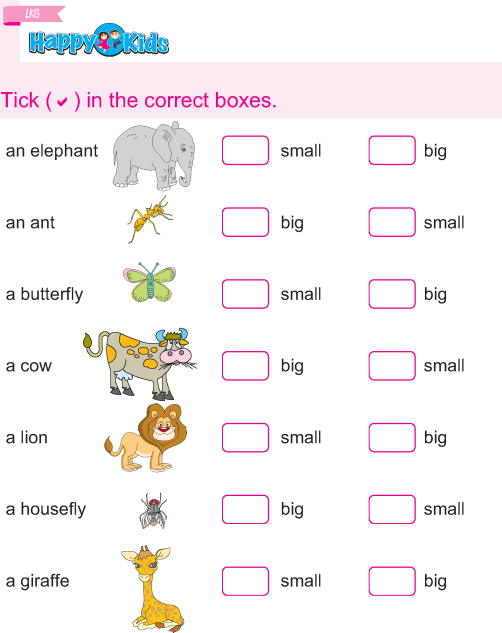 Kindergarten English Tick The Correct Boxes