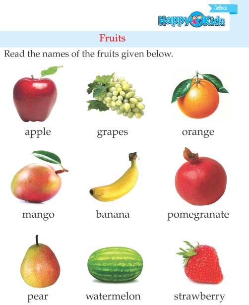 Kindergarten Science Fruits