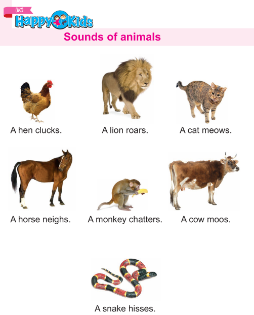 Kindergarten Science Sounds Of Animals
