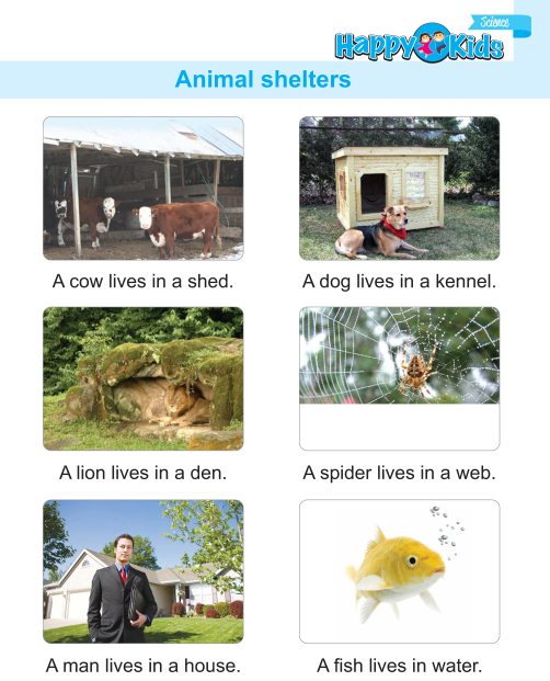 Kindergarten Science Animal Shelters